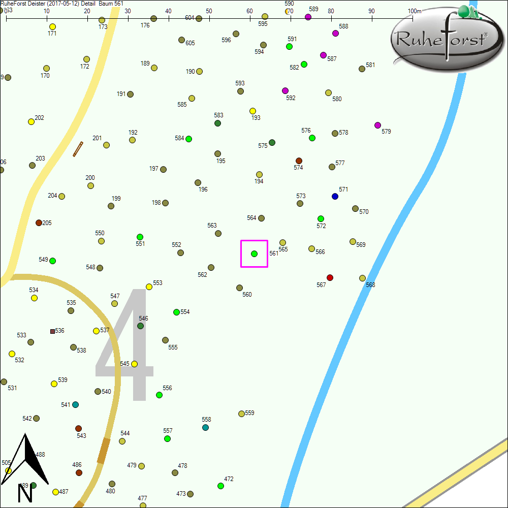 Detailkarte zu Baum 561
