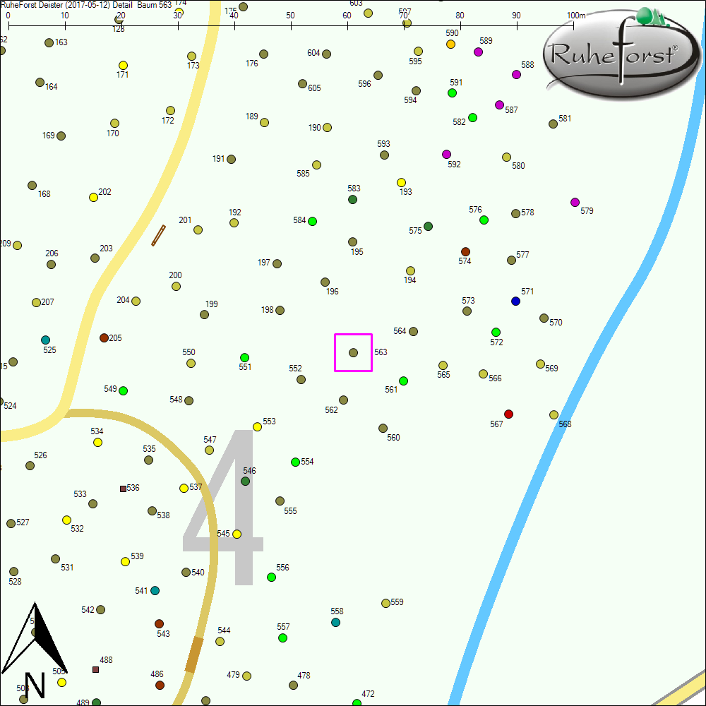 Detailkarte zu Baum 563
