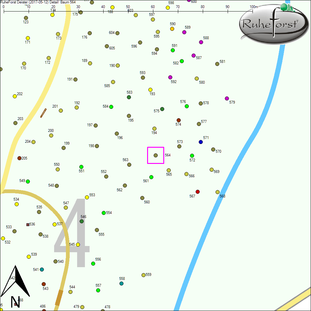 Detailkarte zu Baum 564