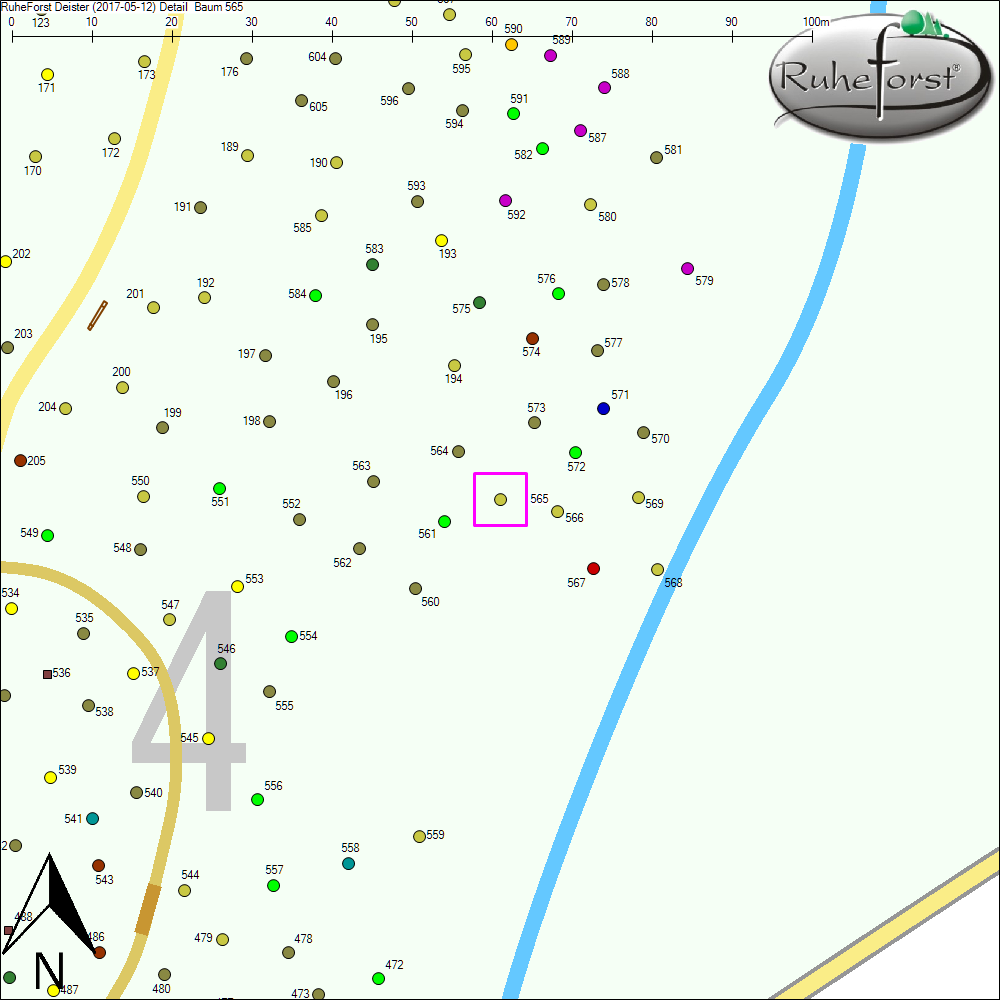 Detailkarte zu Baum 565