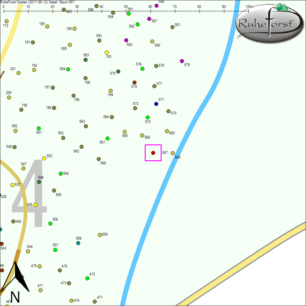 Detailkarte zu Baum 567