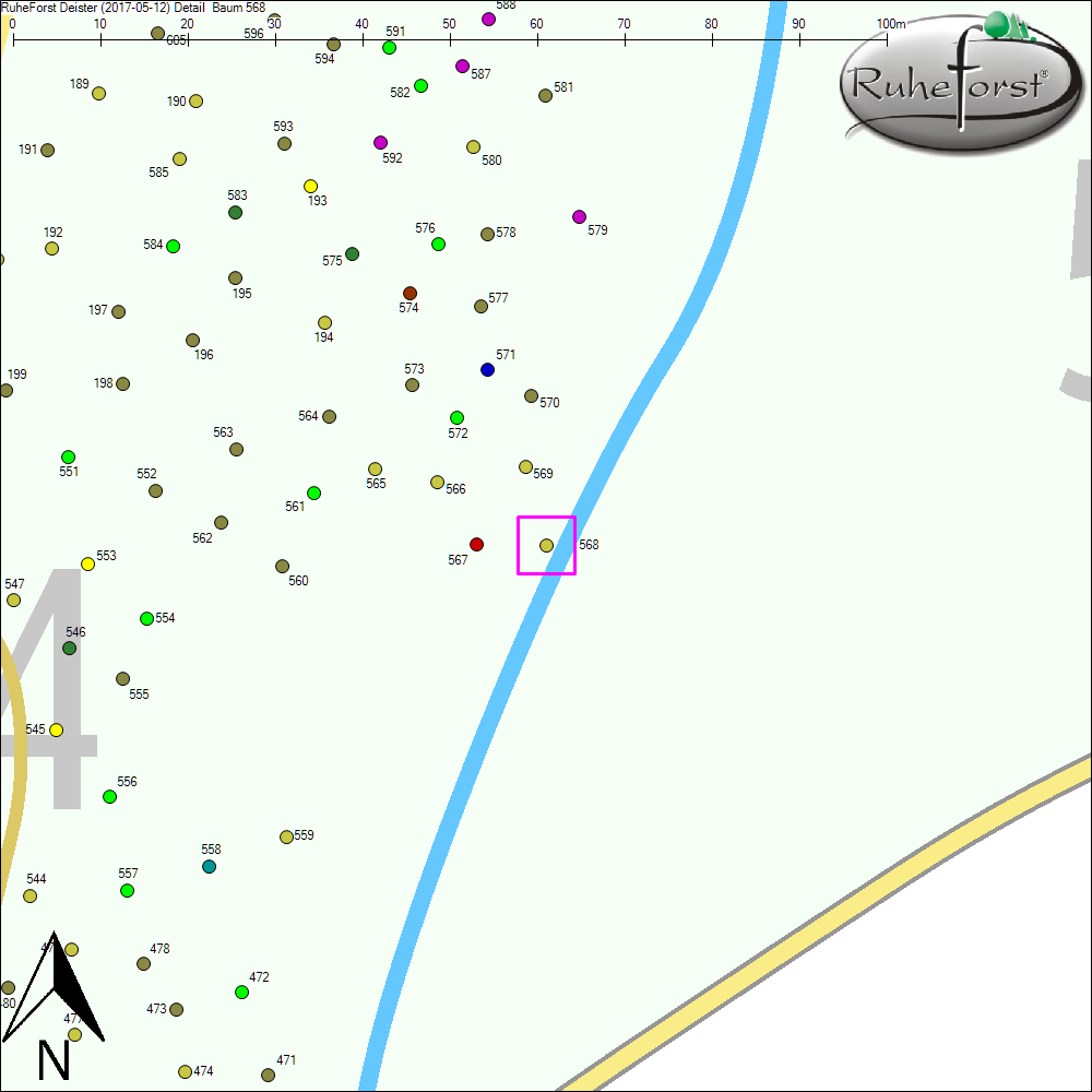 Detailkarte zu Baum 568