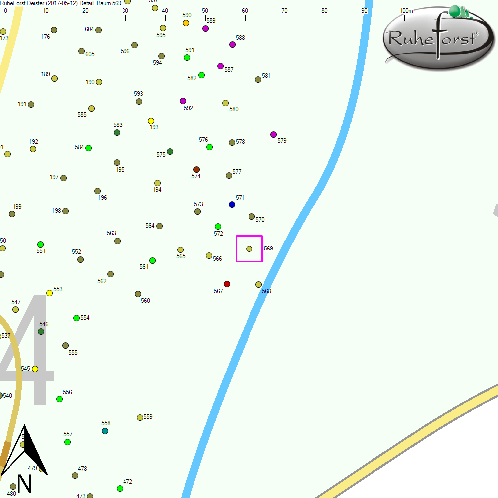 Detailkarte zu Baum 569