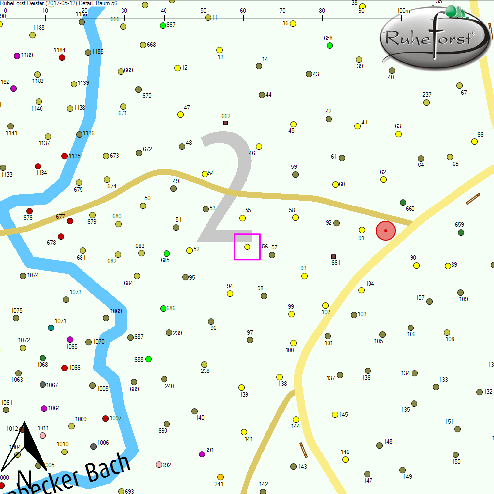 Detailkarte zu Baum 56
