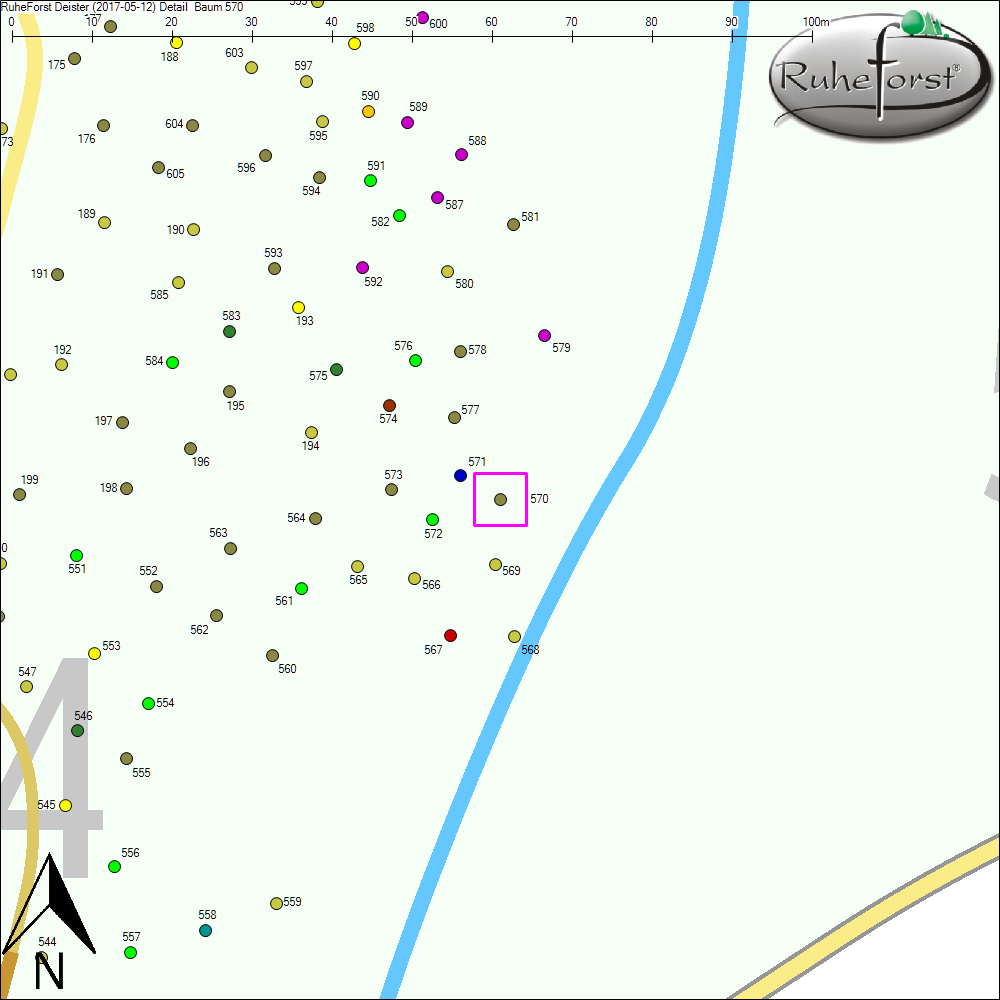 Detailkarte zu Baum 570