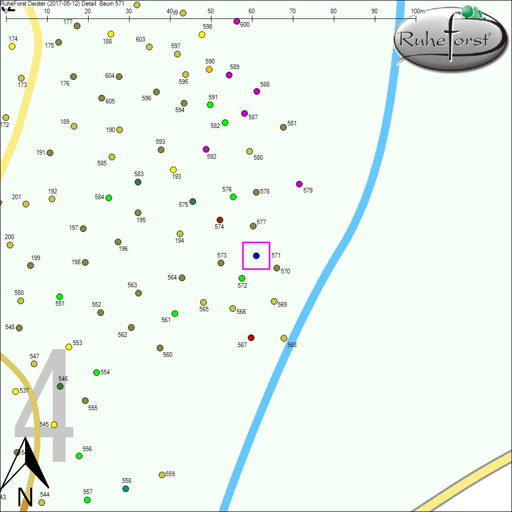 Detailkarte zu Baum 571