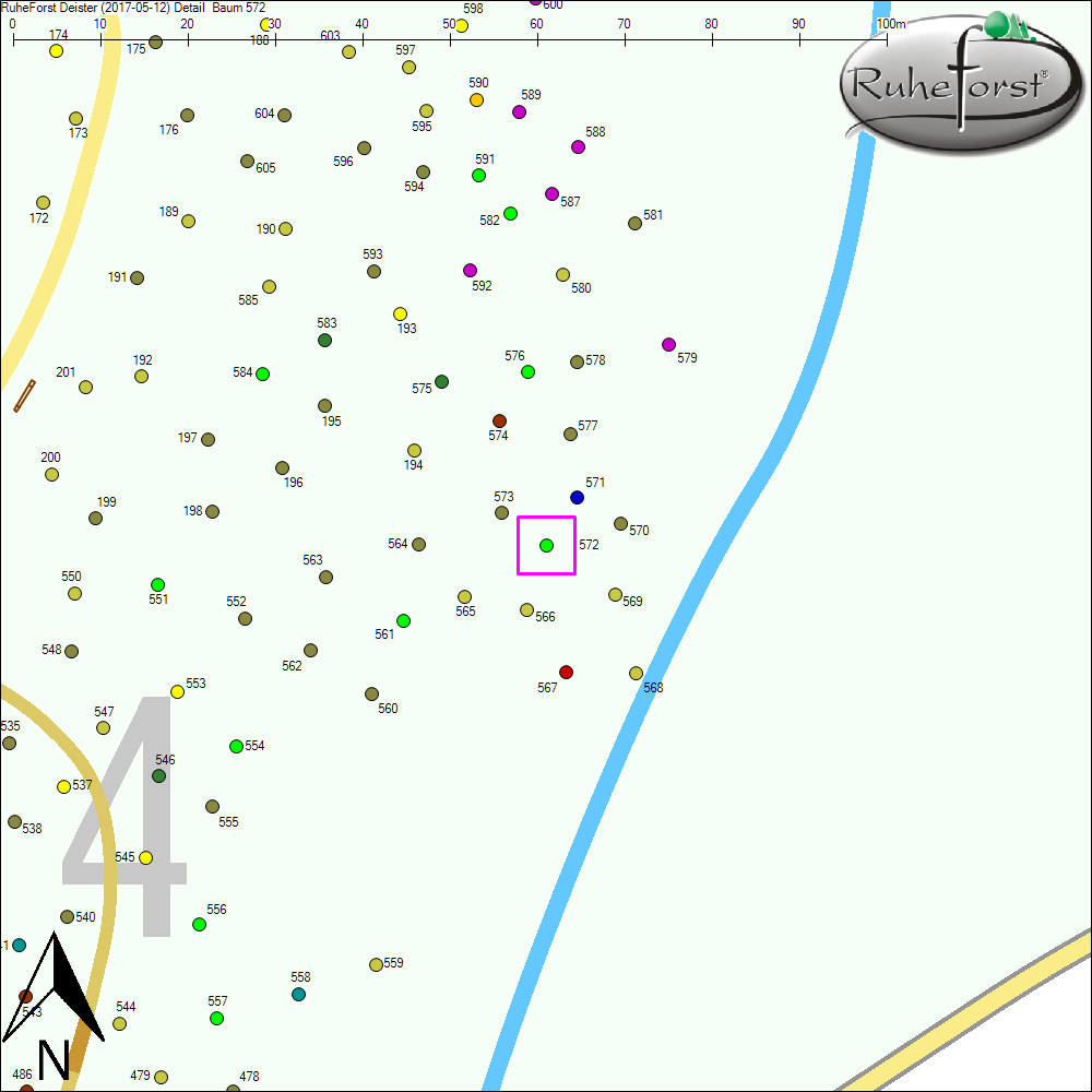 Detailkarte zu Baum 572