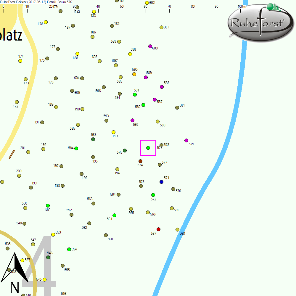 Detailkarte zu Baum 576