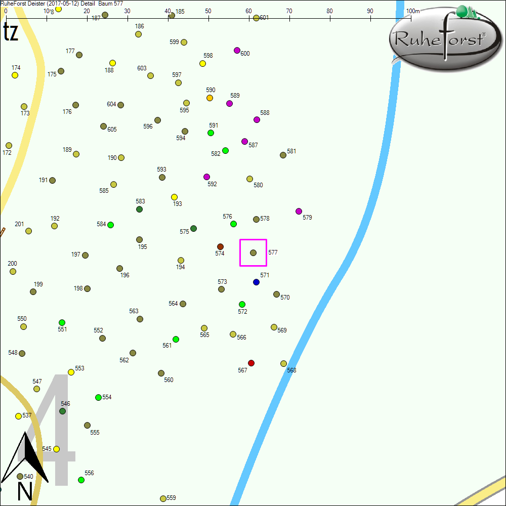 Detailkarte zu Baum 577