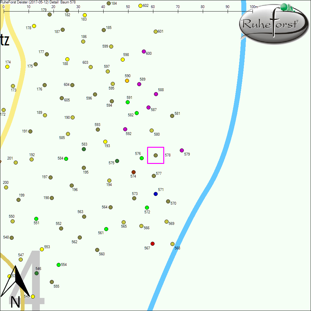 Detailkarte zu Baum 578