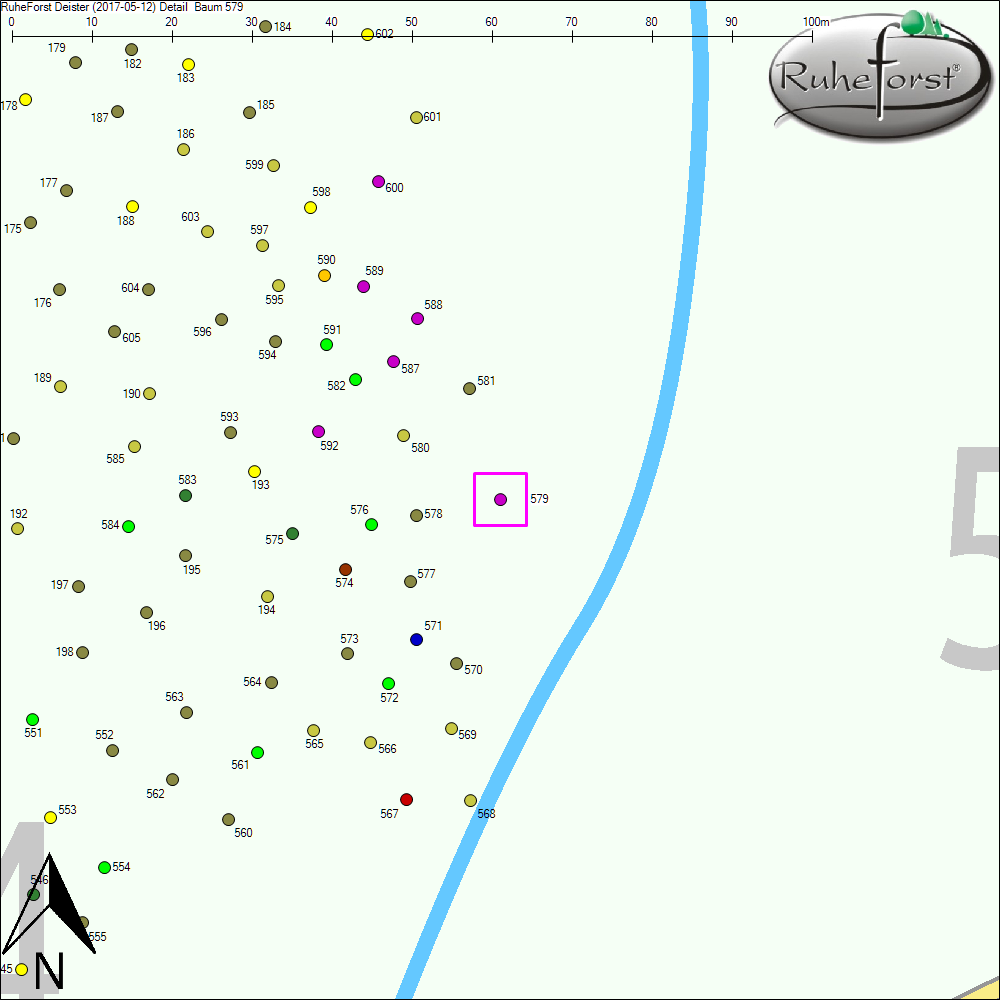 Detailkarte zu Baum 579