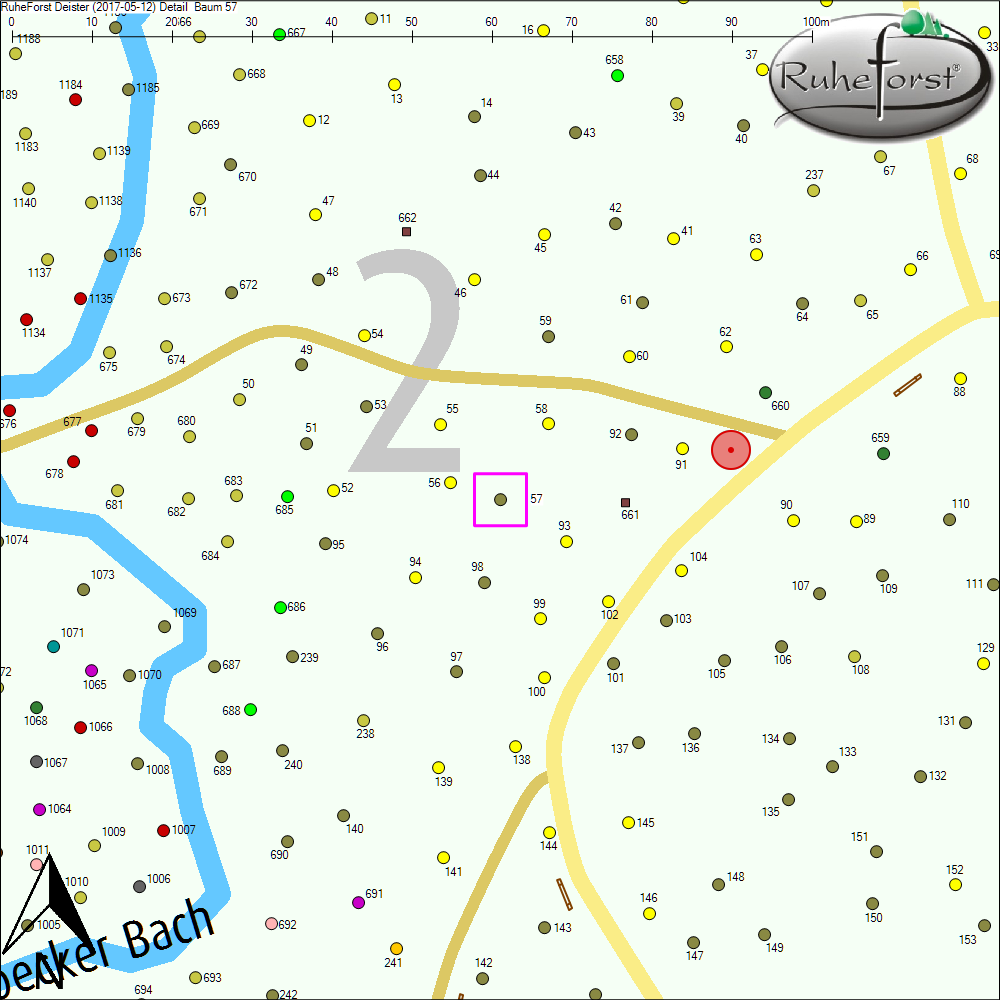 Detailkarte zu Baum 57