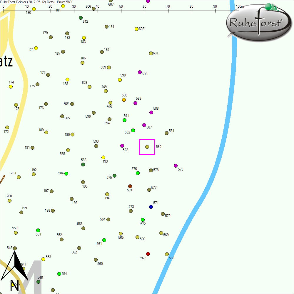 Detailkarte zu Baum 580