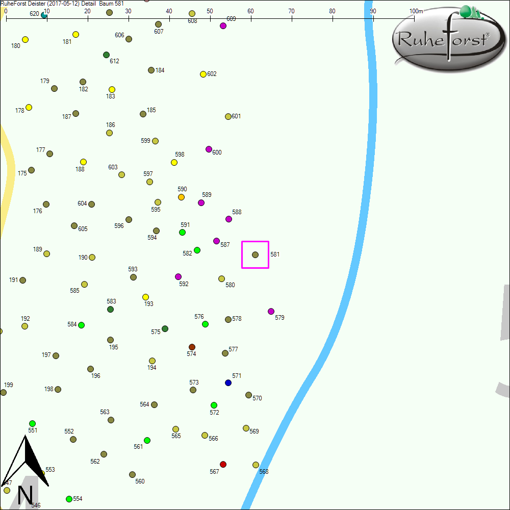 Detailkarte zu Baum 581