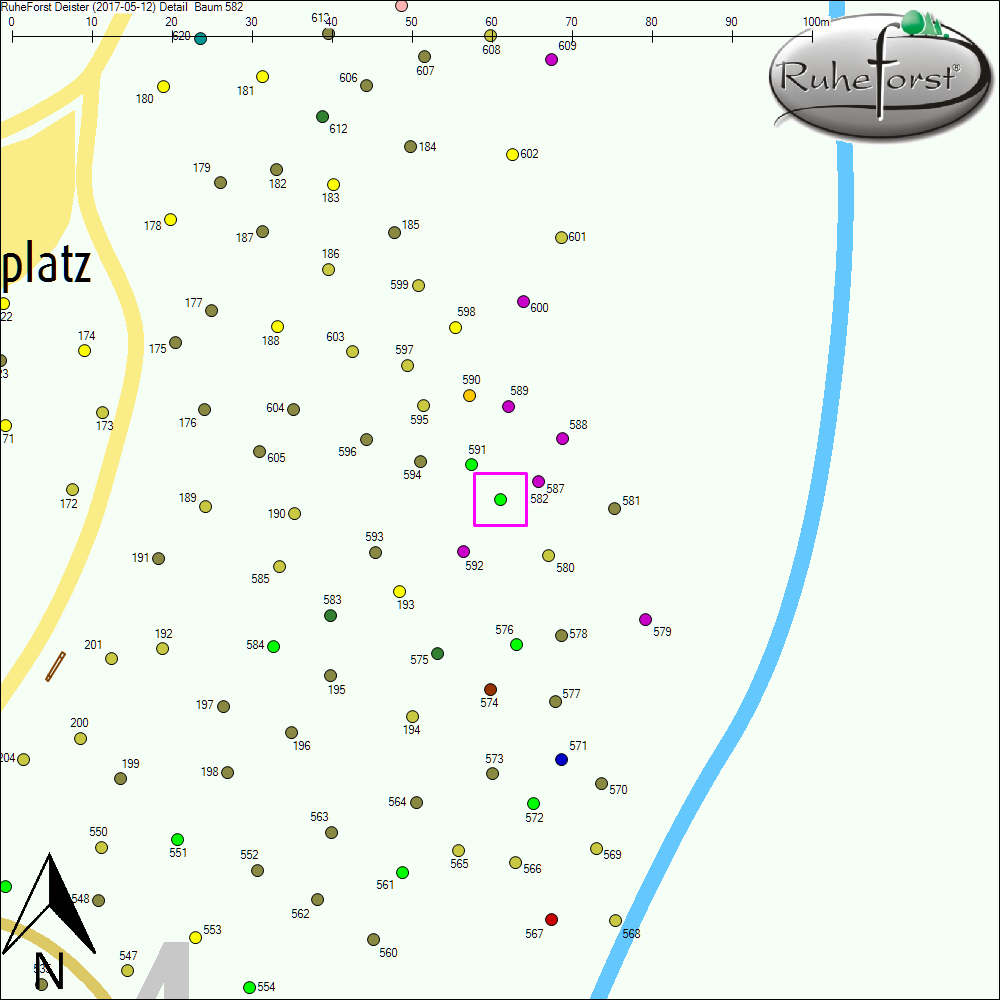 Detailkarte zu Baum 582