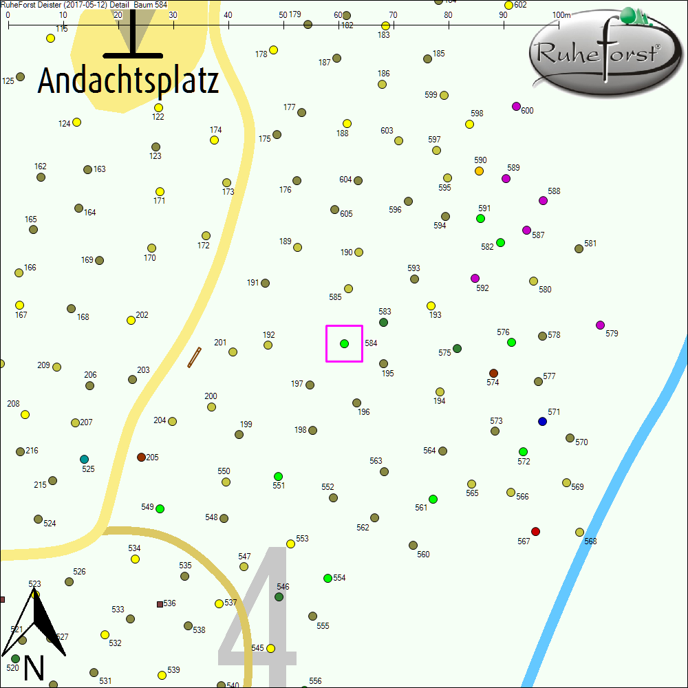 Detailkarte zu Baum 584