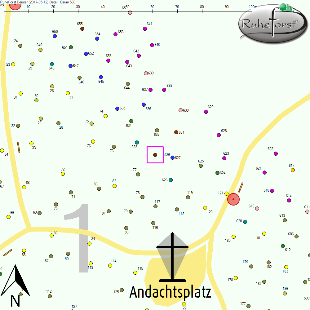 Detailkarte zu Baum 586