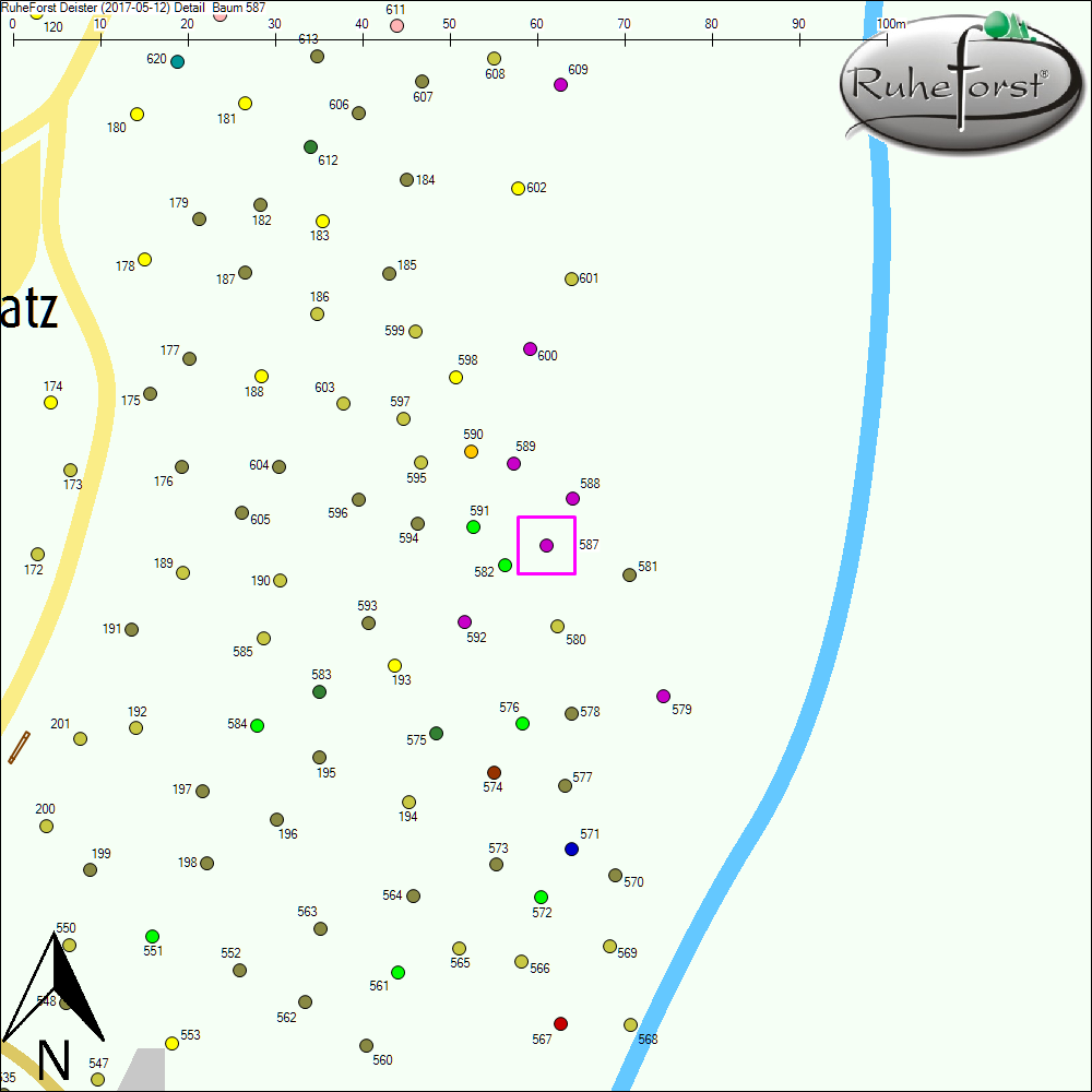 Detailkarte zu Baum 587