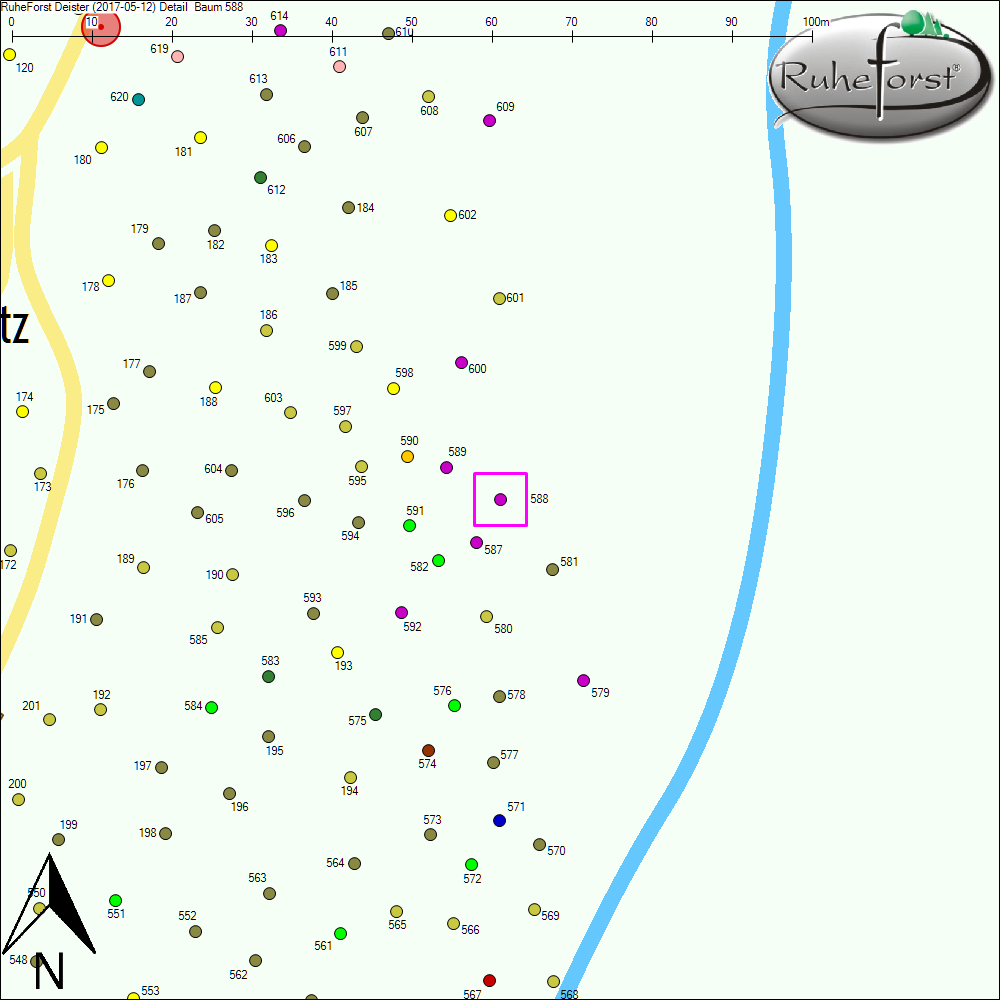 Detailkarte zu Baum 588