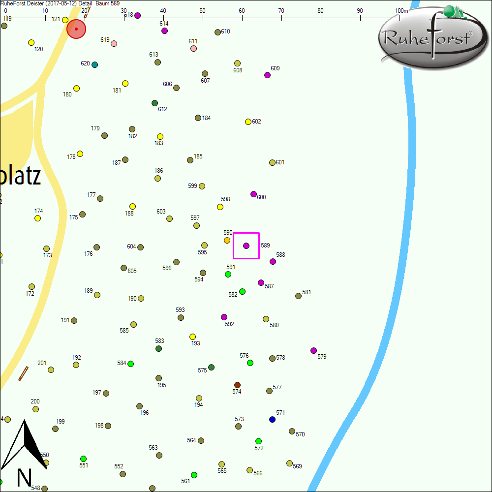 Detailkarte zu Baum 589