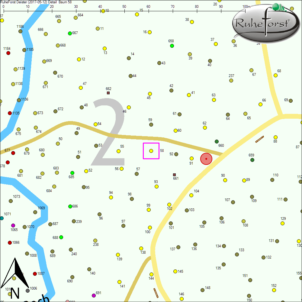 Detailkarte zu Baum 58