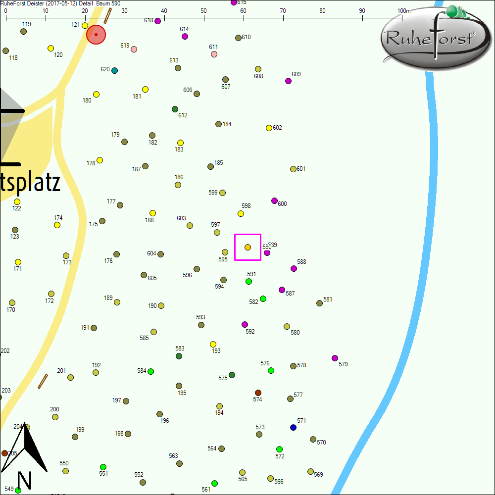 Detailkarte zu Baum 590