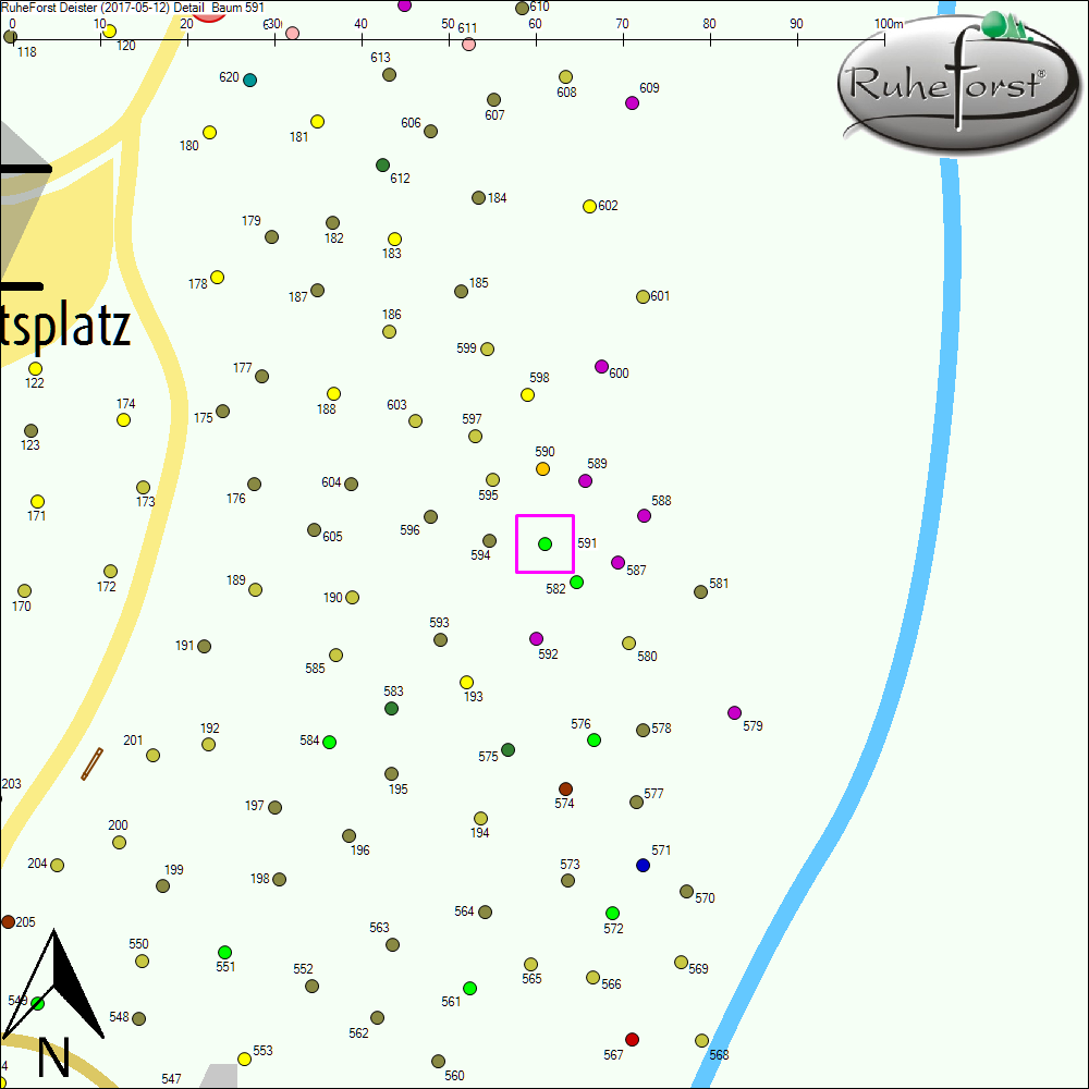 Detailkarte zu Baum 591