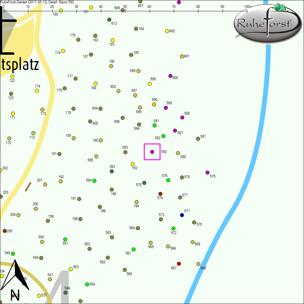 Detailkarte zu Baum 592