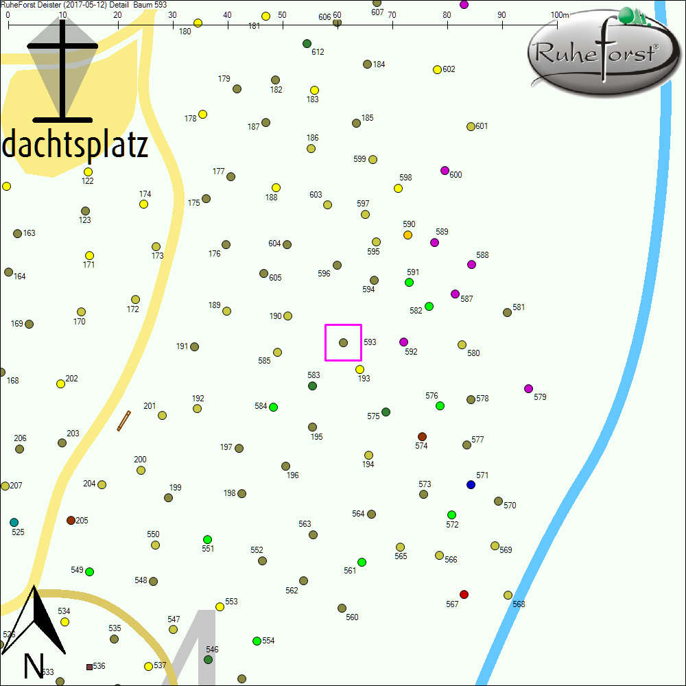 Detailkarte zu Baum 593