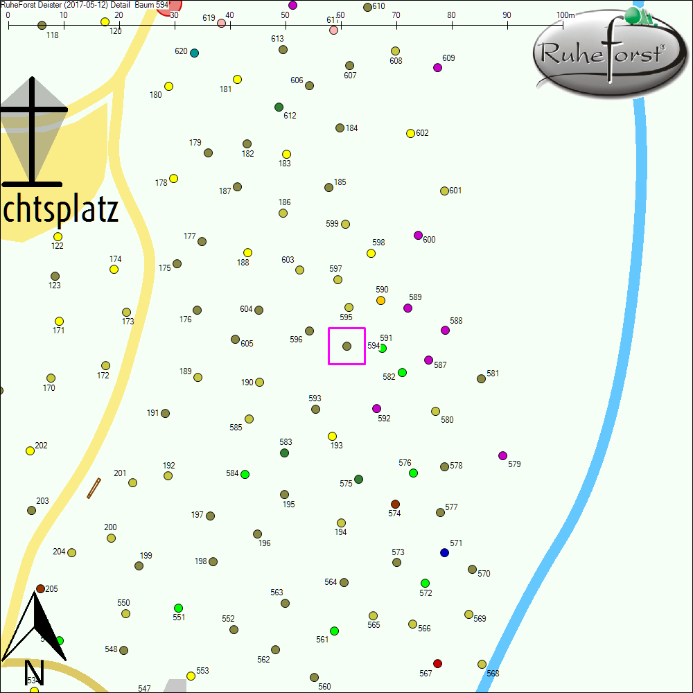 Detailkarte zu Baum 594