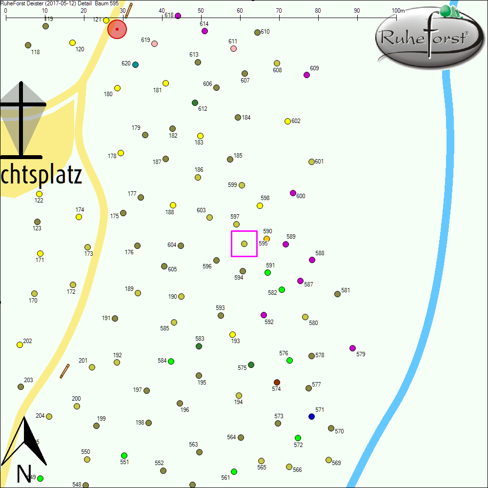 Detailkarte zu Baum 595