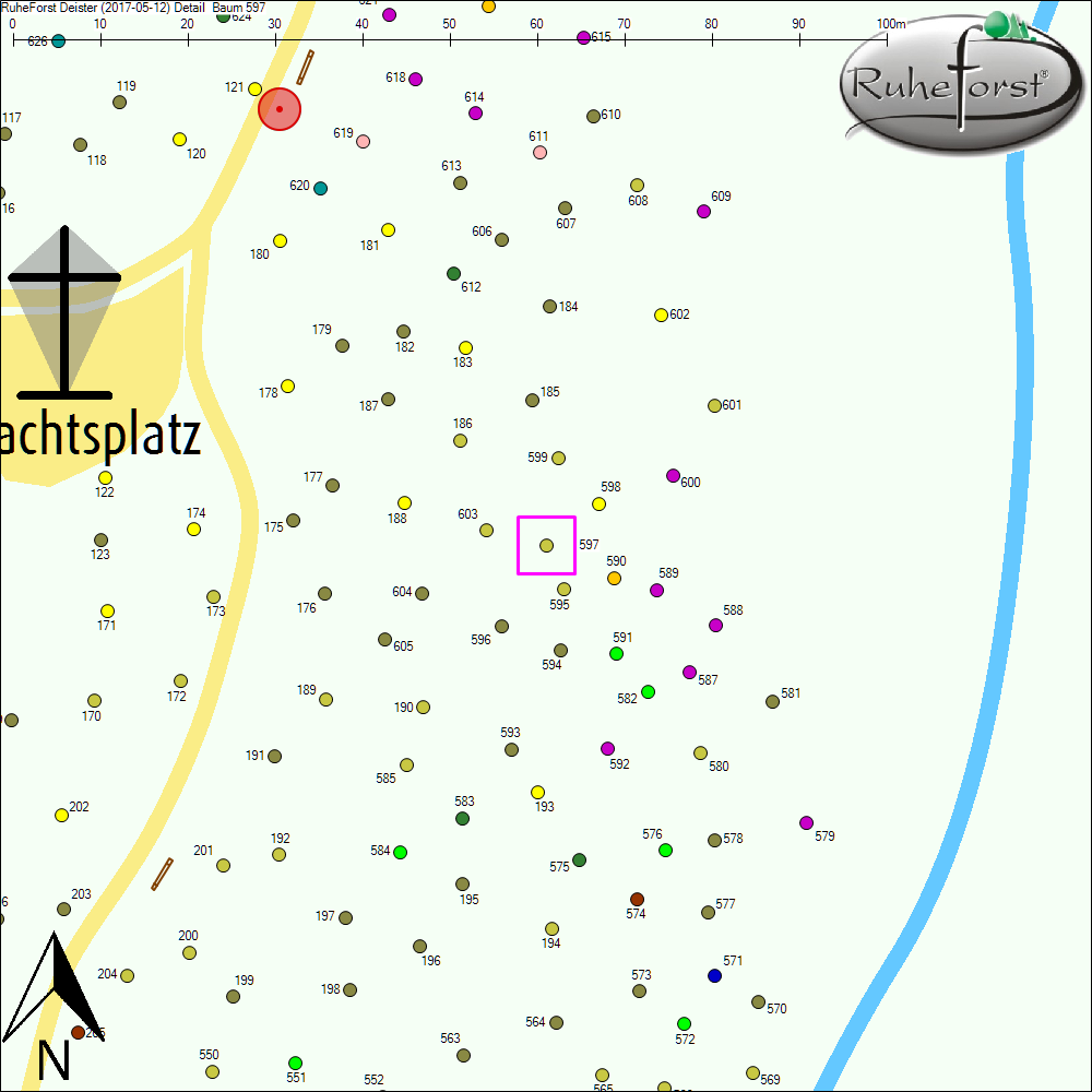 Detailkarte zu Baum 597