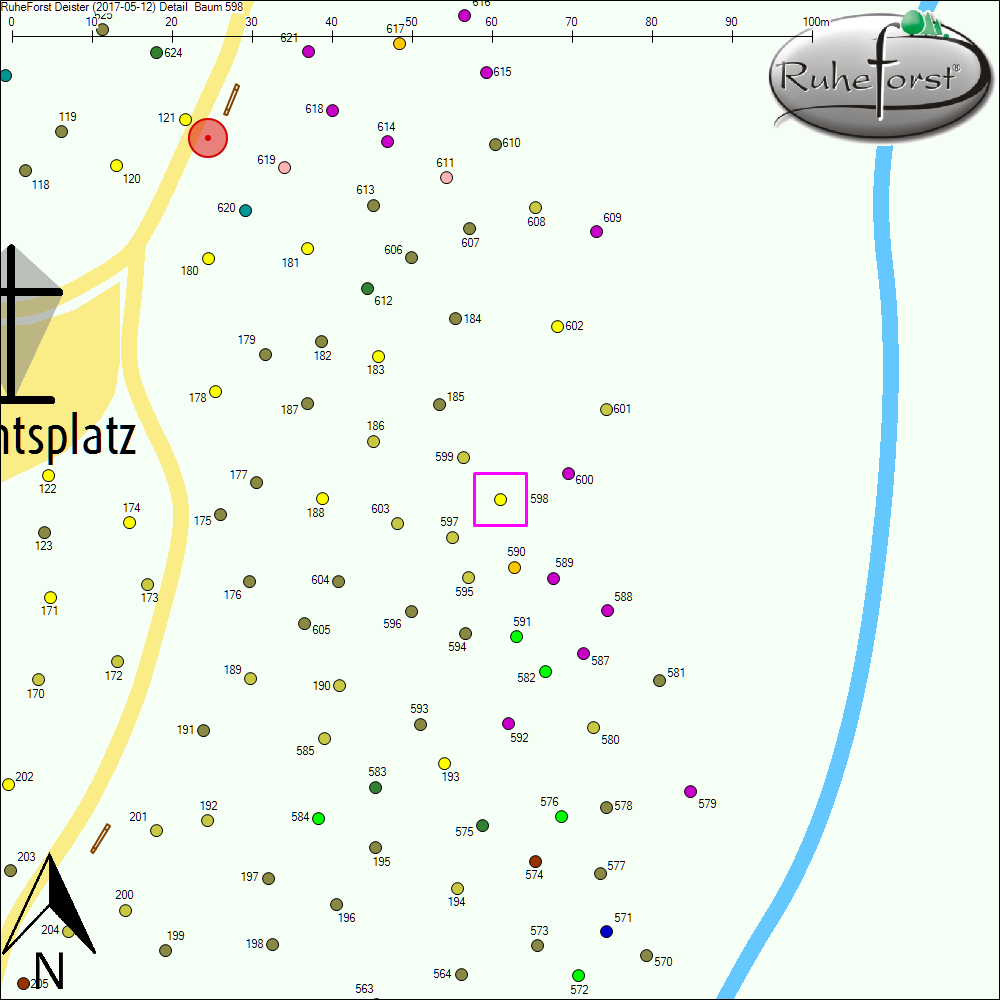 Detailkarte zu Baum 598