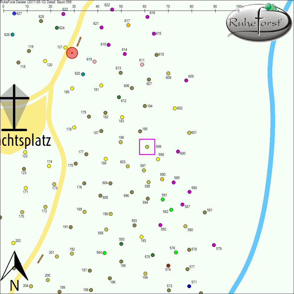 Detailkarte zu Baum 599