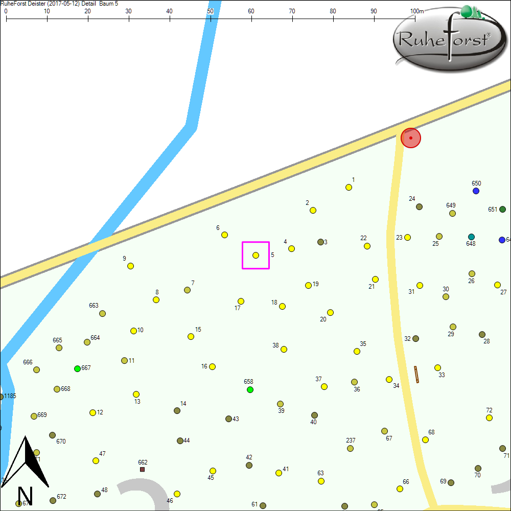 Detailkarte zu Baum 5