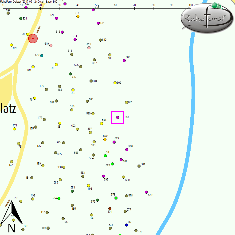 Detailkarte zu Baum 600
