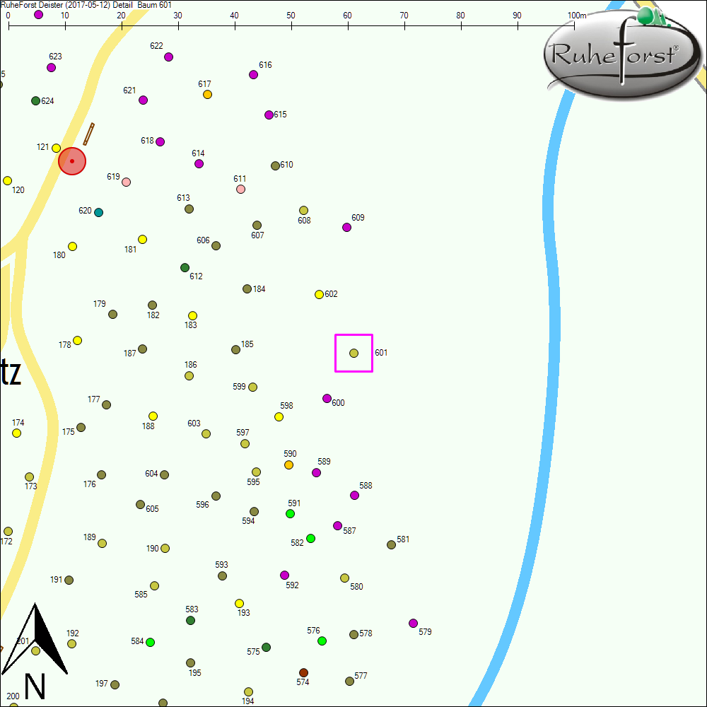 Detailkarte zu Baum 601