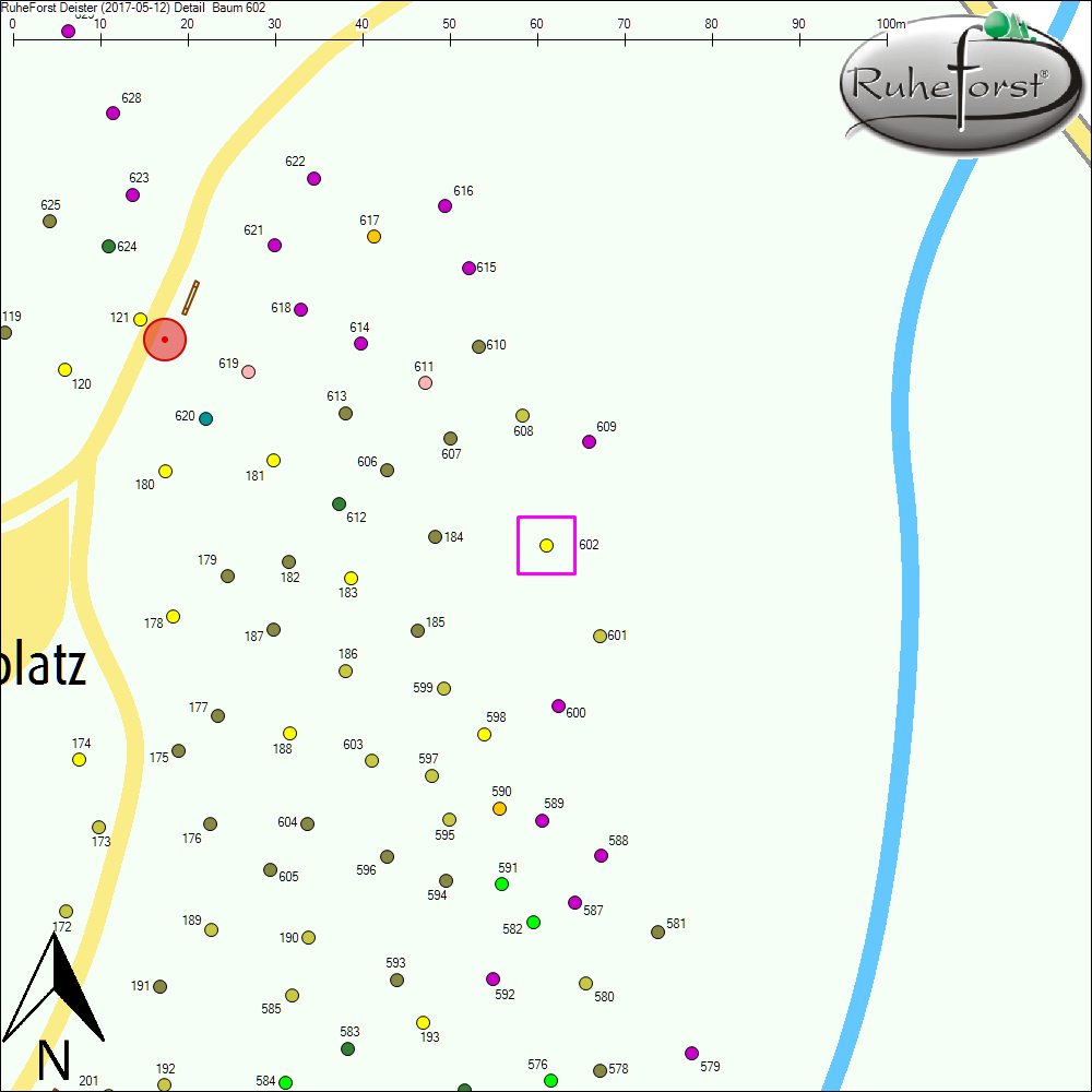 Detailkarte zu Baum 602