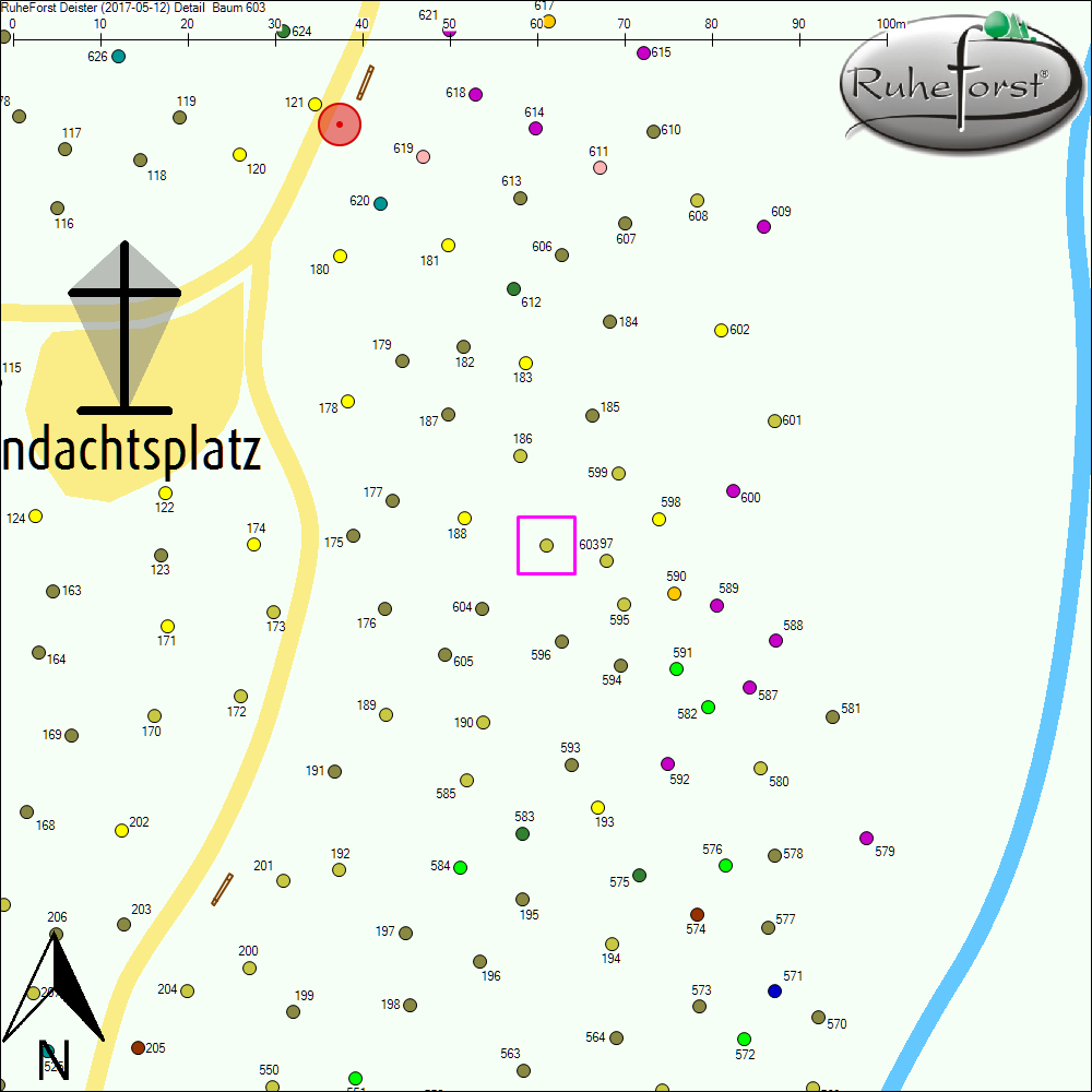 Detailkarte zu Baum 603