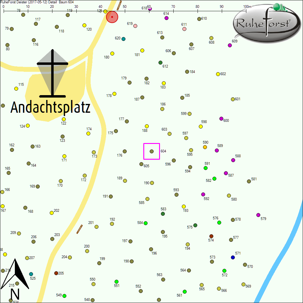Detailkarte zu Baum 604