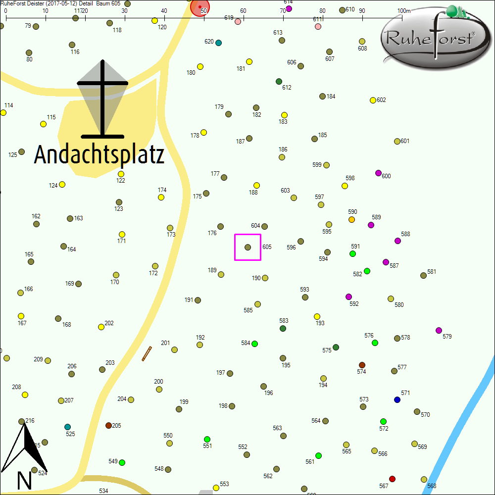 Detailkarte zu Baum 605