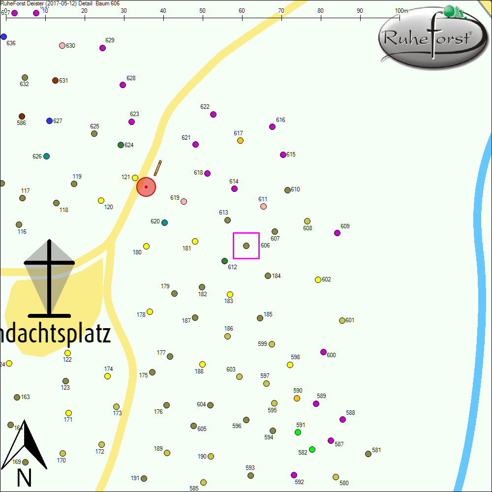 Detailkarte zu Baum 606