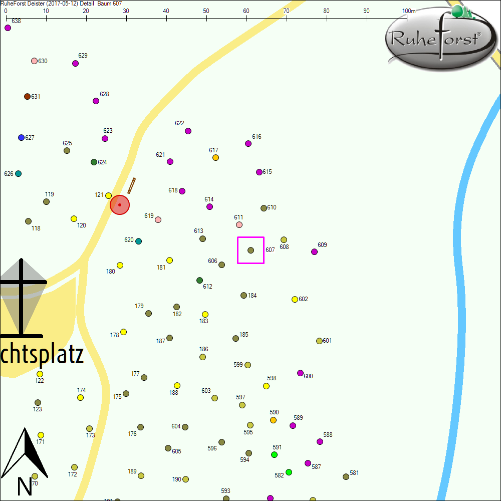 Detailkarte zu Baum 607
