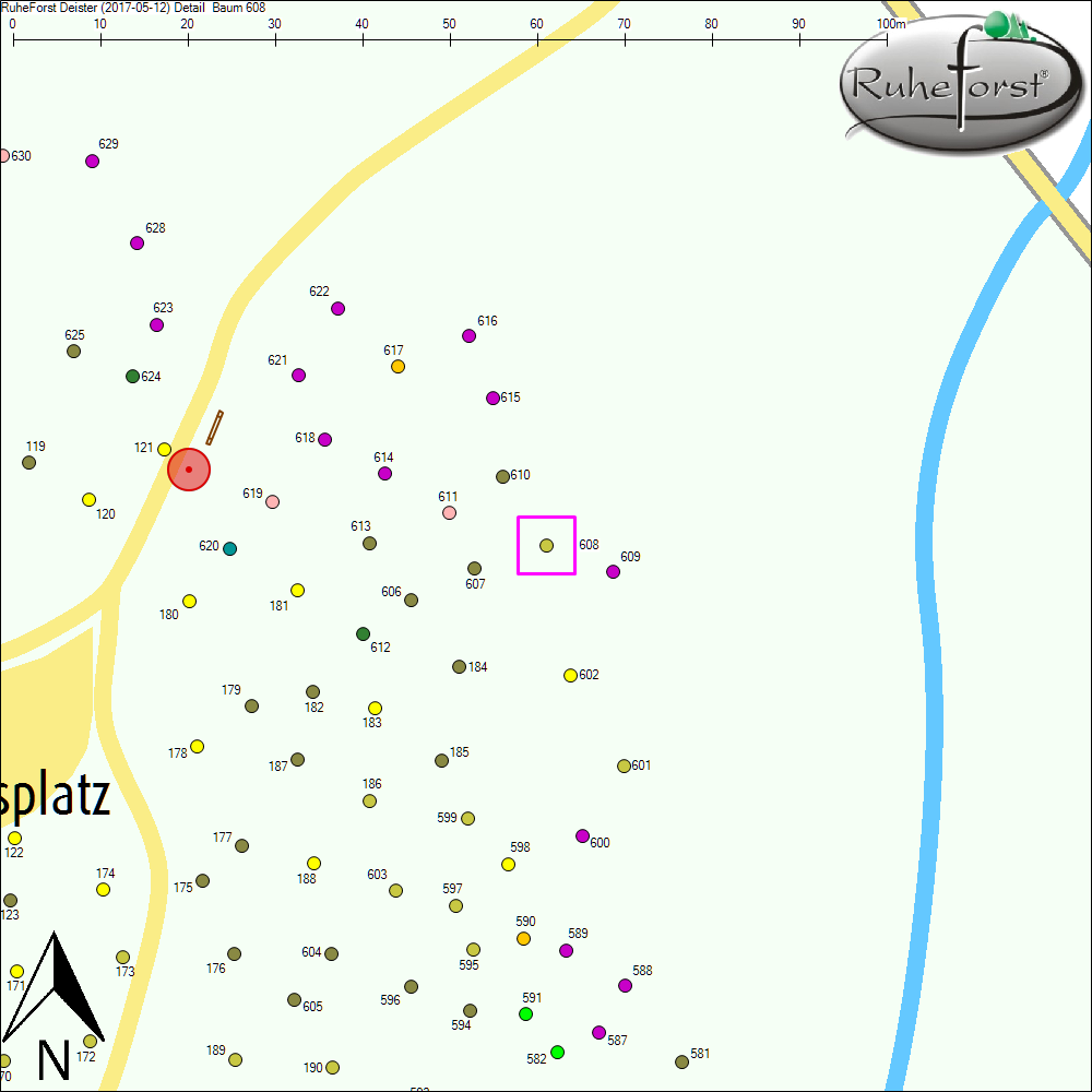Detailkarte zu Baum 608
