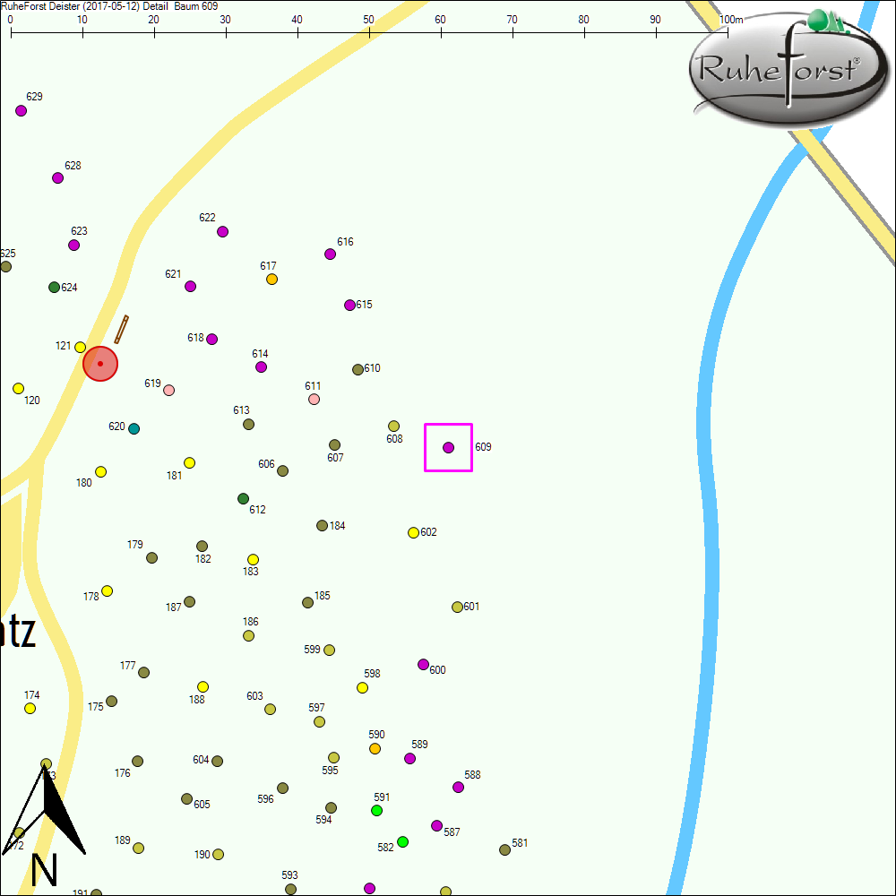 Detailkarte zu Baum 609
