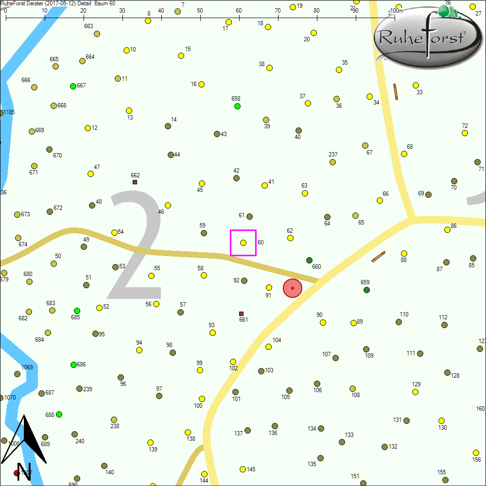 Detailkarte zu Baum 60