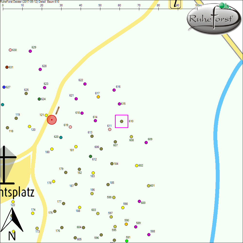 Detailkarte zu Baum 610