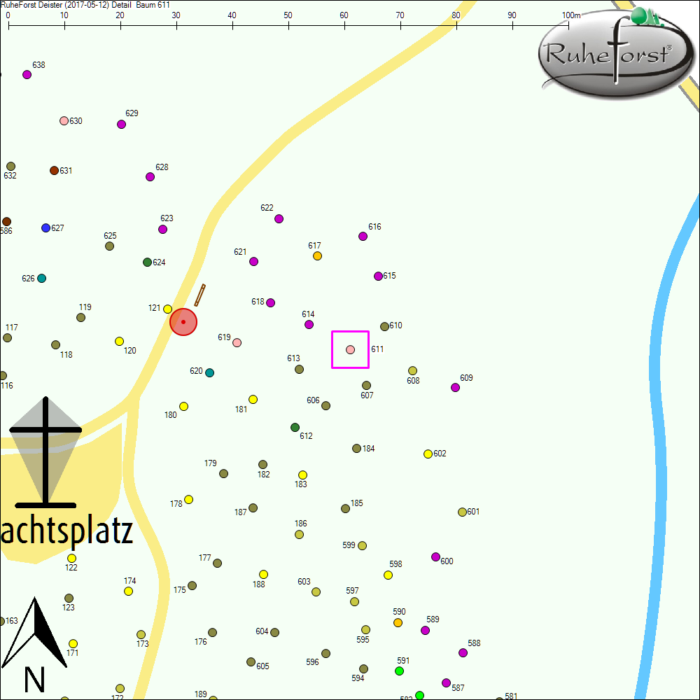 Detailkarte zu Baum 611
