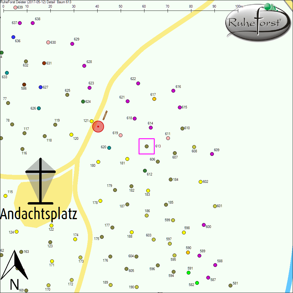 Detailkarte zu Baum 613