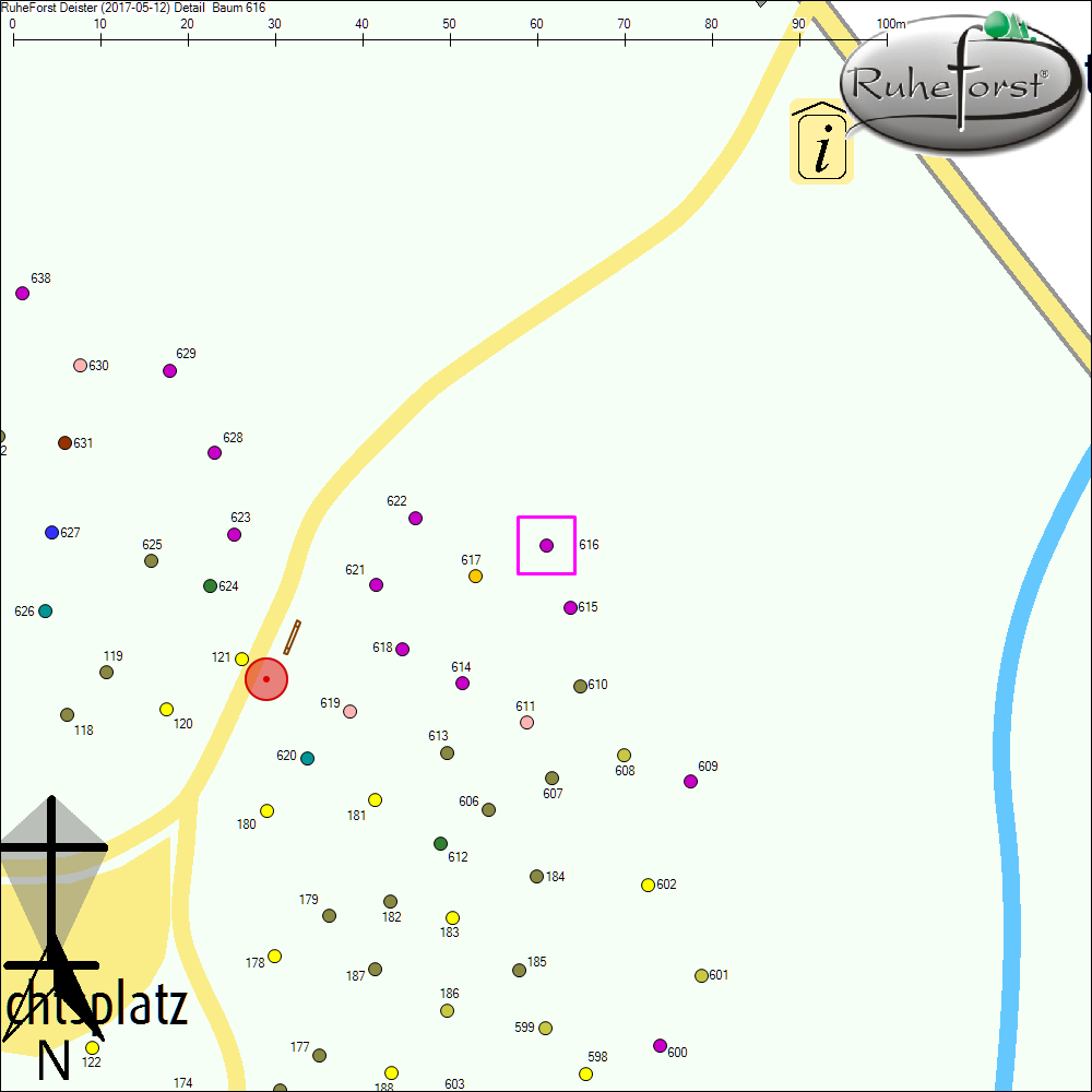 Detailkarte zu Baum 616